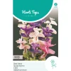 Hortitops Salvia - Bladsalvia Gemengd - Bloemenzaden - 500 mg