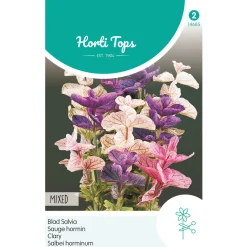 Hortitops Salvia - Bladsalvia Gemengd - Bloemenzaden - 500 mg