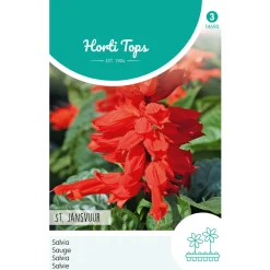 Hortitops Salvia - Vuursalie St. Jansvuur - Bloemenzaden - 400 mg