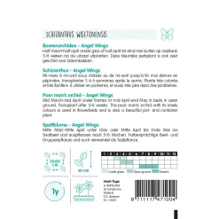 Hortitops Schizanthus - Boerenochidee Angel Wings - Bloemenzaden - 500 mg