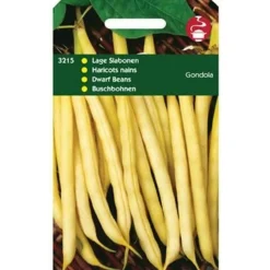 Hortitops Stamslabonen Gondola (Wasboon - Witzadig) - Groentezaden - 100 g