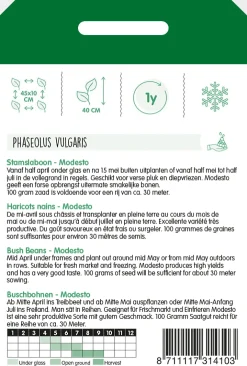 Hortitops Stamslabonen Modesto - Groentezaden - 100 g