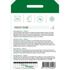 Hortitops Stamslabonen Odeon - Groentezaden - 50 g