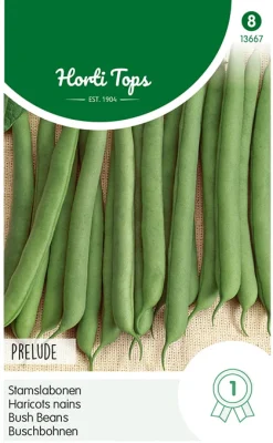 Hortitops Stamslabonen Prelude - Groentezaden - 250 g