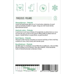 Hortitops Stamslabonen Prelude - Groentezaden - 250 g