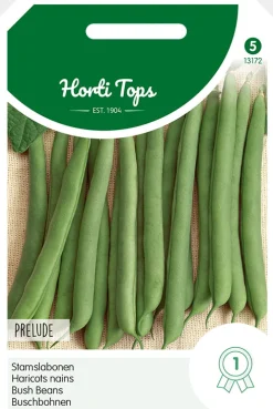 Hortitops Stamslabonen Prelude - Groentezaden - 100 g