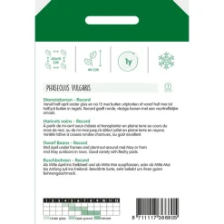 Hortitops Stamslabonen Record - Groentezaden - 250 g