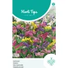 Hortitops Statice - Lamsoor Pacific Gemengd - Bloemenzaden - 250 mg