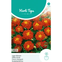 Hortitops Tagetes - Lage Afrikaan Carmen - Bloemenzaden - 1 g