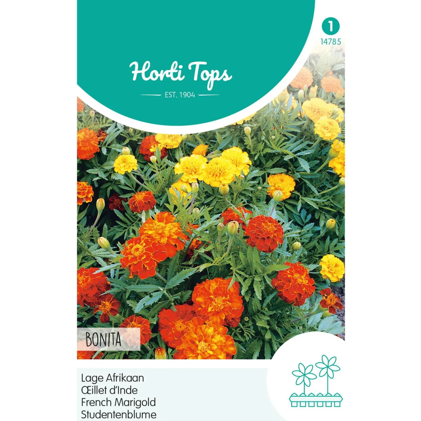 Hortitops Tagetes - Lage Afrikaan Bonita Gemengd - Bloemenzaden - 1 g