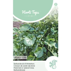 Hortitops Tuinkers Overblijvend - Barbarakruid - Kruidenzaden - 3 g