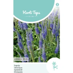 Hortitops Veronica - Ereprijs Blauw - Bloemenzaden - 150 mg