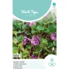 Hortitops Viola - Maarts Viooltje - Bloemenzaden - 250 mg