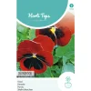 Hortitops Viola - Viool Avondrood - Bloemenzaden - 400 mg