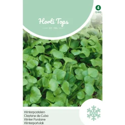 Hortitops Winterpostelein - Groentezaden - 3 g