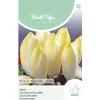 Hortitops Witlof Mechelse Middelvroeg - Videna - Groentezaden - 2.5 g