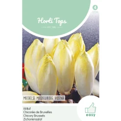 Hortitops Witlof Mechelse Middelvroeg - Videna - Groentezaden - 2.5 g