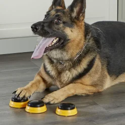 Hunger For Words Talking Pet Namen - Hondenspeelgoed - Geel Zwart