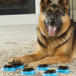 Hunger For Words Talking Pet Belangrijke Woorden - Hondenspeelgoed - Blauw Zwart