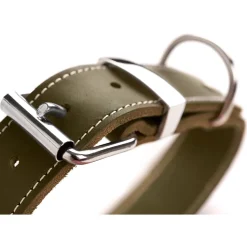Hunter Halsband Aalborg Special Olijfgroen - Hondenhalsband