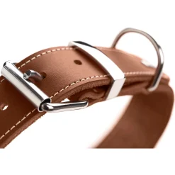 Hunter Halsband Aalborg Special Cognac - Hondenhalsband
