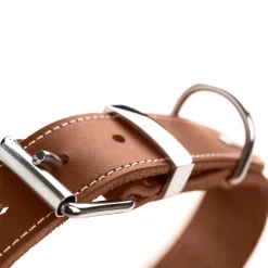 Hunter Halsband Aalborg Special Cognac - Hondenhalsband