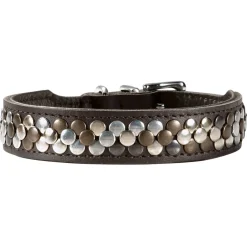 Hunter Halsband Arizona Bruin - Hondenhalsband