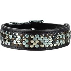 Hunter Halsband Arizona Bruin - Hondenhalsband