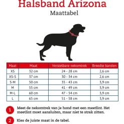 Hunter Halsband Arizona Bruin - Hondenhalsband