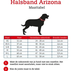 Hunter Halsband Arizona Bruin - Hondenhalsband