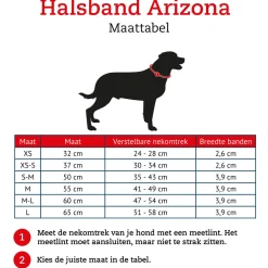 Hunter Halsband Arizona Bruin - Hondenhalsband