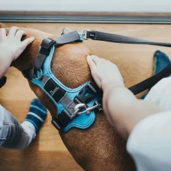 Hunter Harnas Divo Blauw&Grijs - Hondentuig