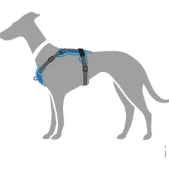 Hunter Harnas Divo Blauw&Grijs - Hondentuig