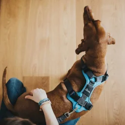 Hunter Harnas Divo Blauw&Grijs - Hondentuig