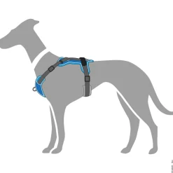 Hunter Harnas Divo Blauw&Grijs - Hondentuig
