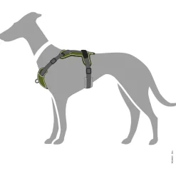 Hunter Harnas Divo Groen&Grijs - Hondentuig