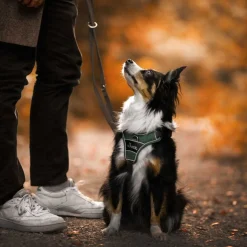 Hunter Harnas Divo Groen&Grijs - Hondentuig