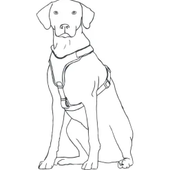 Hunter Harnas Maldon Bruin&Grijs - Hondentuig