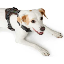 Hunter Harnas Maldon Bruin&Grijs - Hondentuig