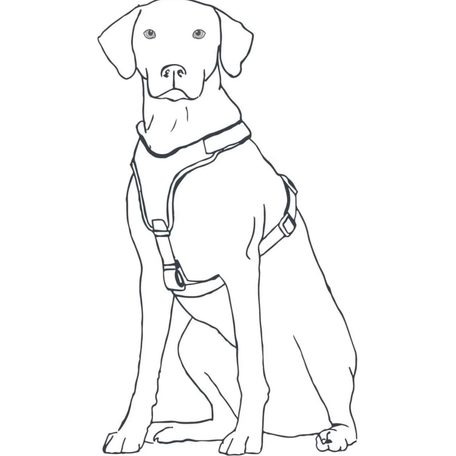 Hunter Harnas Maldon Petrol&Grijs - Hondentuig