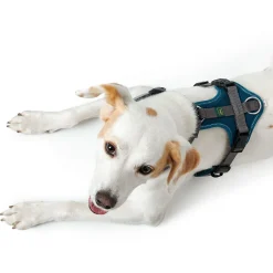 Hunter Harnas Maldon Petrol&Grijs - Hondentuig