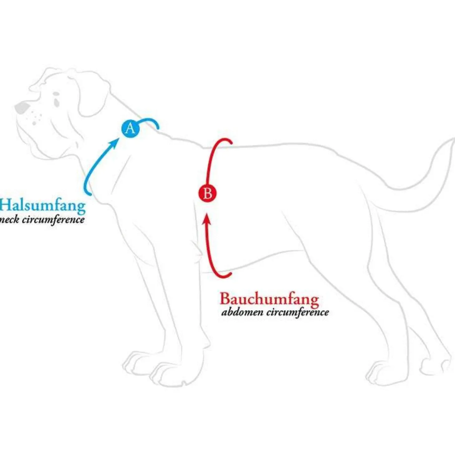 Hunter Harnas Maldon Petrol&Grijs - Hondentuig