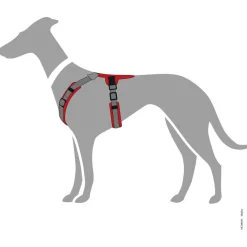 Hunter Harnas Maldon Rood&Grijs - Hondentuig