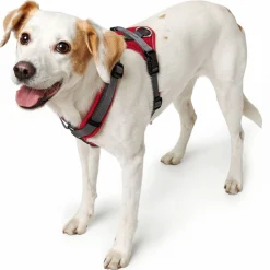 Hunter Harnas Maldon Rood&Grijs - Hondentuig