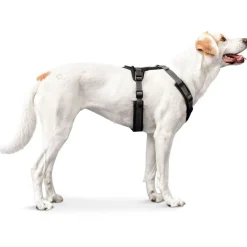 Hunter Harnas Maldon Zwart&Grijs - Hondentuig