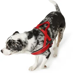 Hunter Harnas Norweger Racing Nylon Rood&Zwart - Hondenharnas