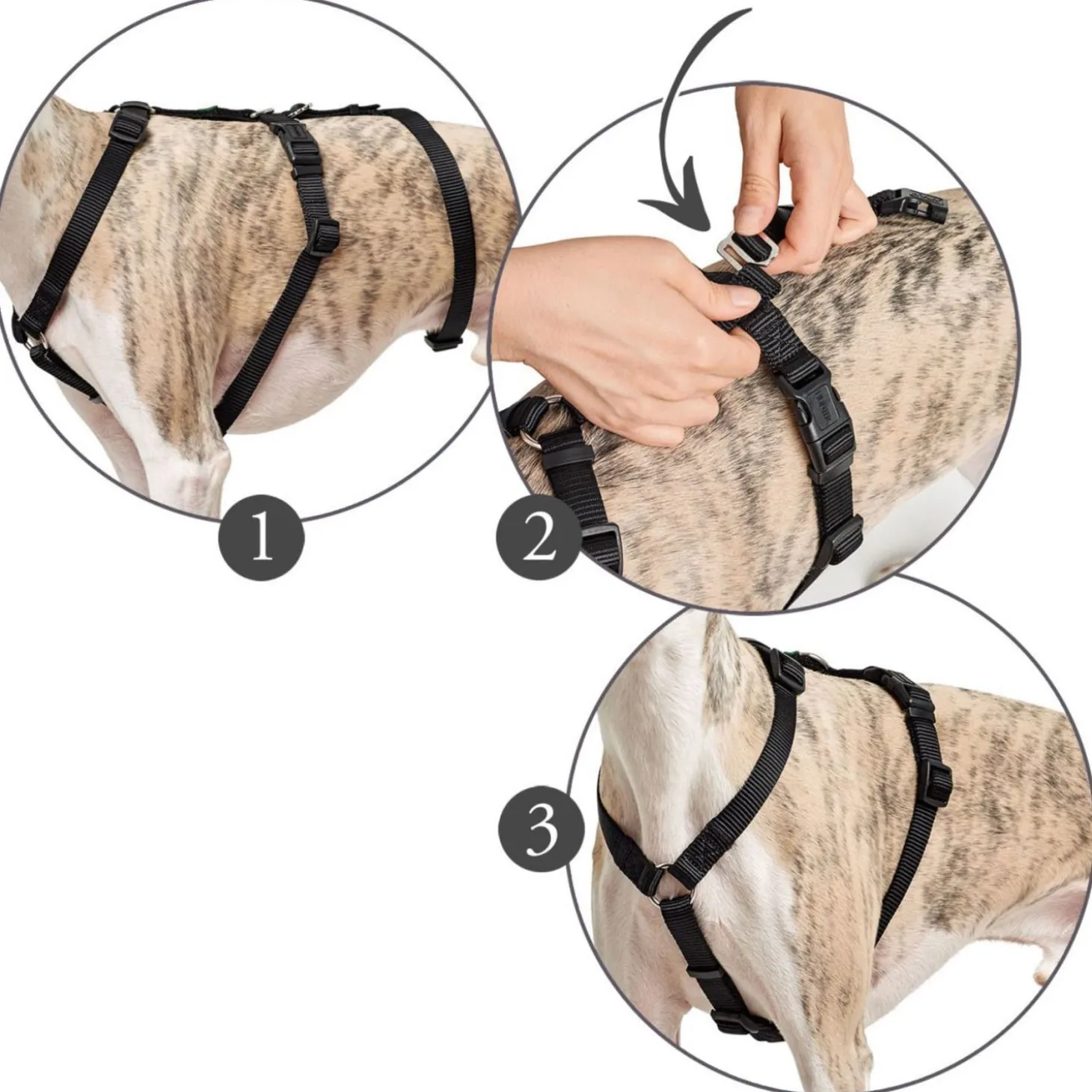 Hunter Hondenlijn Divo & Maldon - Hondenriem