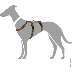 Hunter Hondenlijn Divo & Maldon - Hondenriem