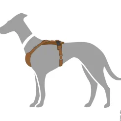 Hunter Hondentuig Aalborg Cognac - Hondenharnas