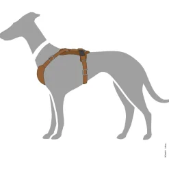 Hunter Hondentuig Aalborg Cognac - Hondenharnas